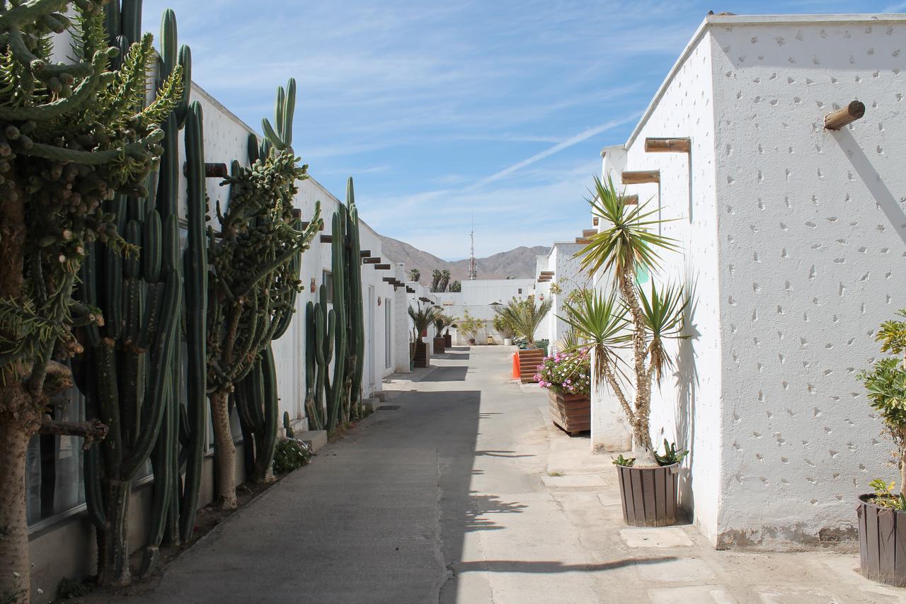 Hotel Oasis De Atacama Copiapó Exterior foto