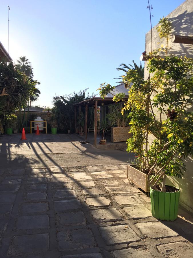 Hotel Oasis De Atacama Copiapó Exterior foto